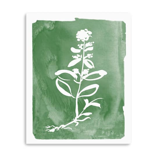Green Botanical III Canvas Giclee